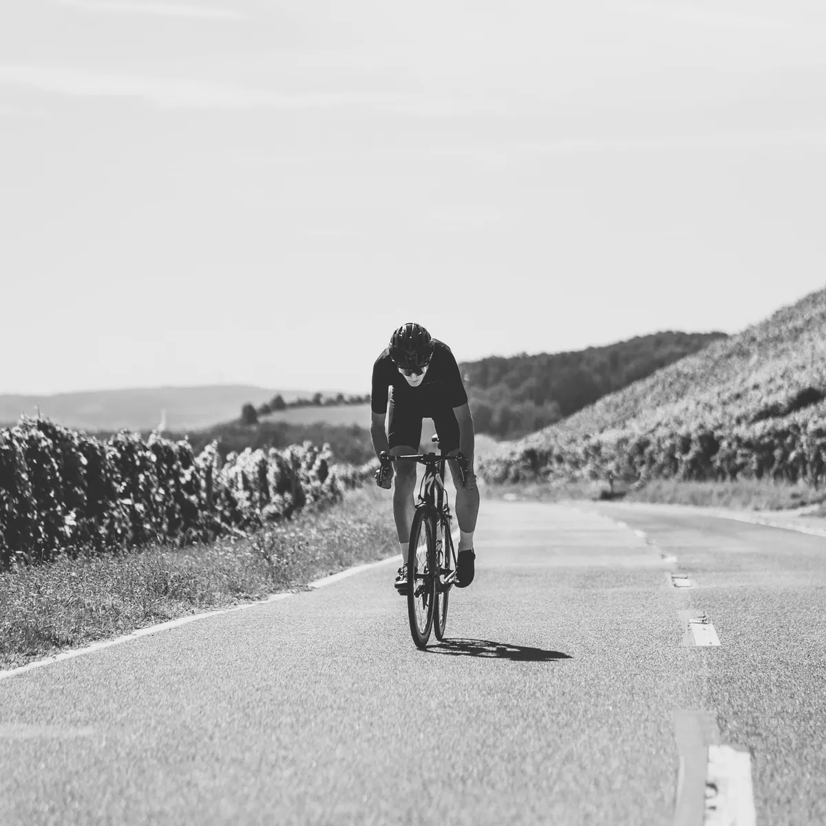 Rennradfahrer auf einer Straße zwischen Weinbergen, Schwarzweißfoto